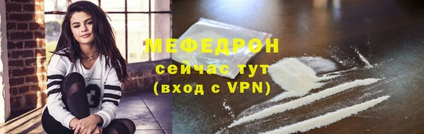 индика Гусь-Хрустальный