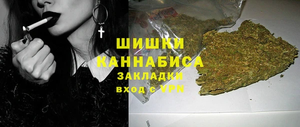 ГАЛЛЮЦИНОГЕННЫЕ ГРИБЫ Алзамай