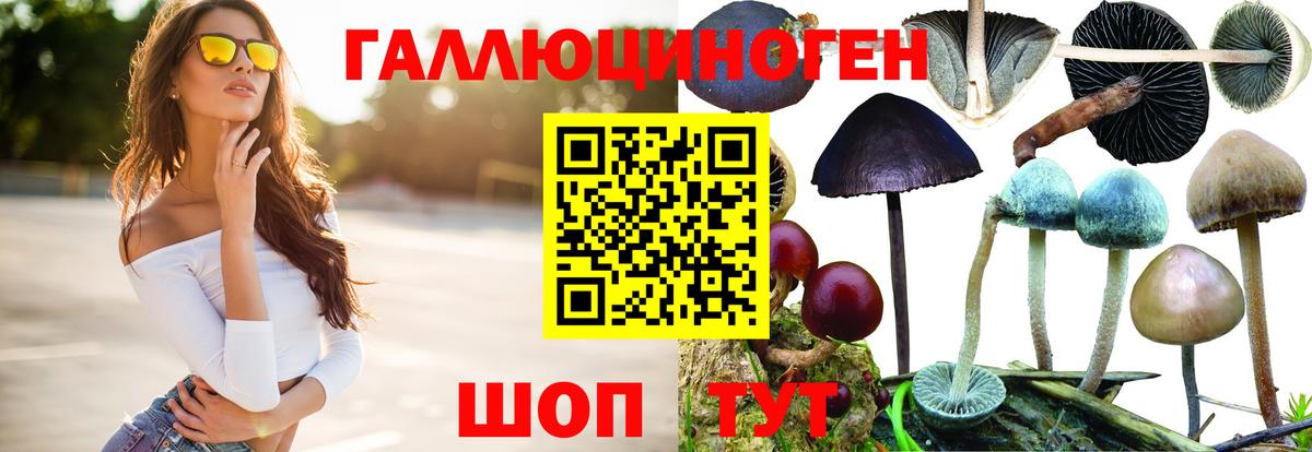 Татарск  Псилоцибиновые грибы мухоморы  Вход с VPN 